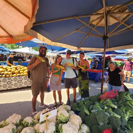 Vandrerhjem Be Bold *