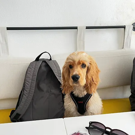 אכסניה Be Bold