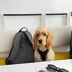 Хостел Be Bold
